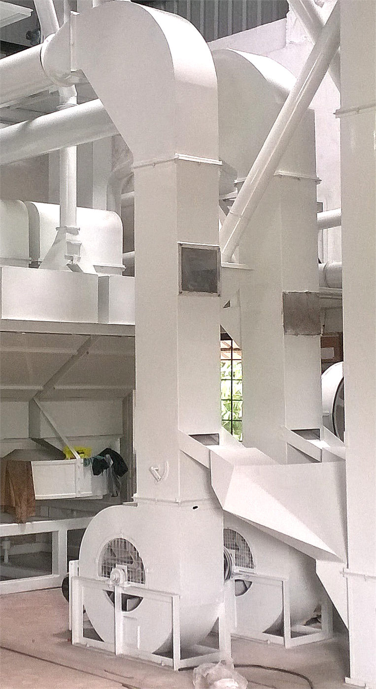 Vertical winnower machine for coffee processing